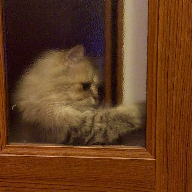 butachanさんの実例写真