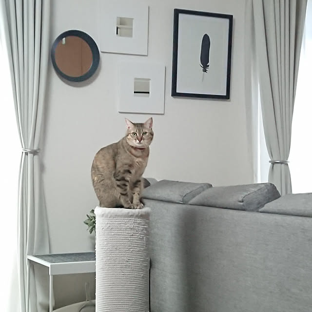 maikyさんの実例写真