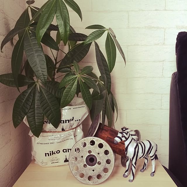 Coccoさんの実例写真