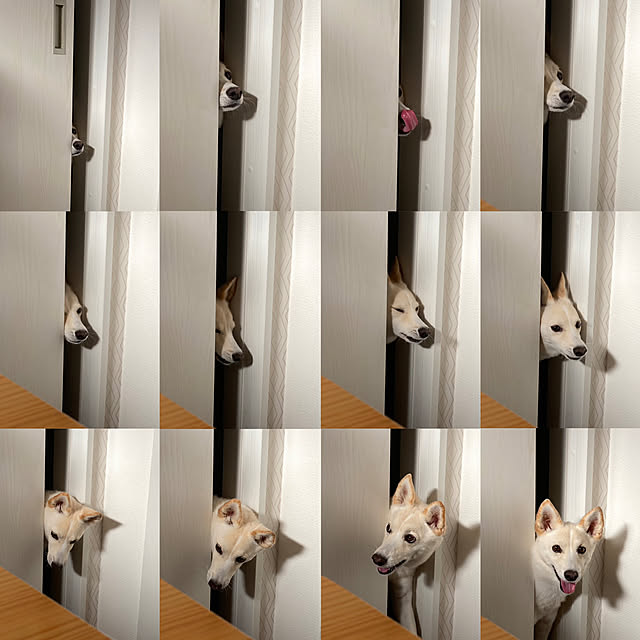 tanboさんの部屋