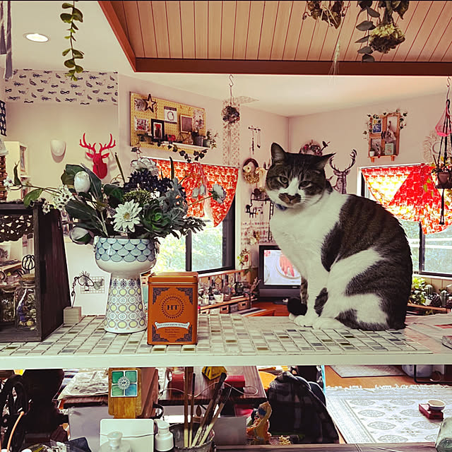 jijiさんの実例写真