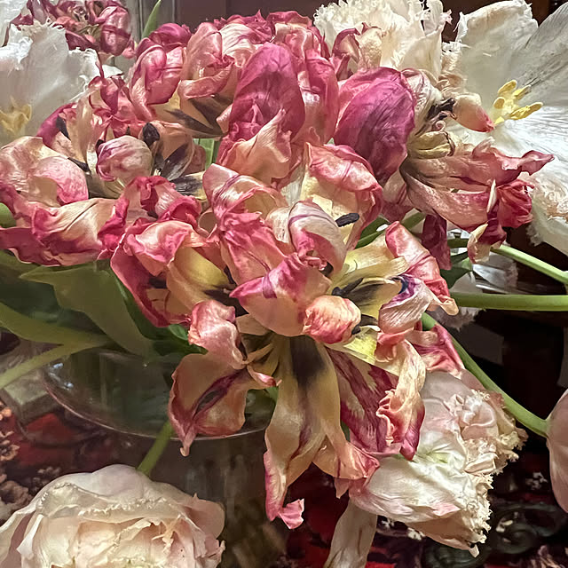 AYUKOさんの部屋