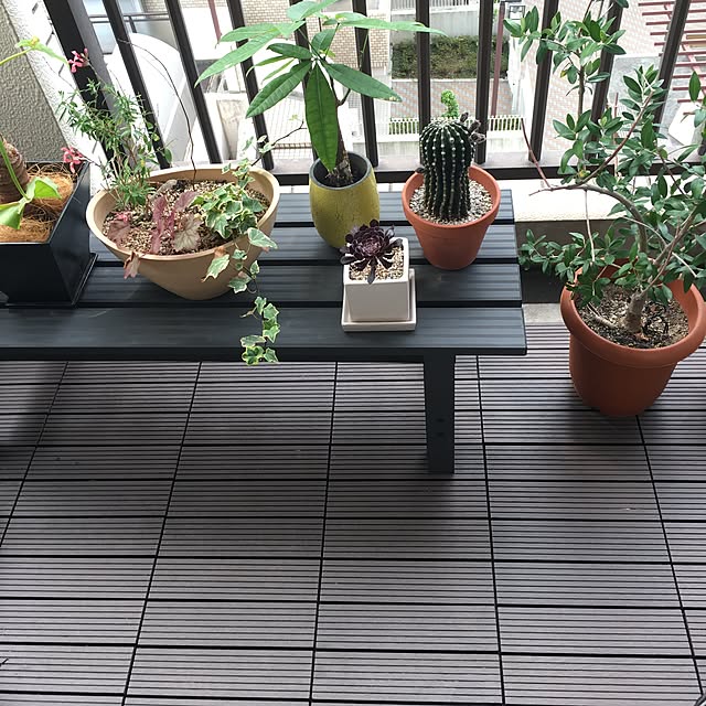 monsoonさんの実例写真
