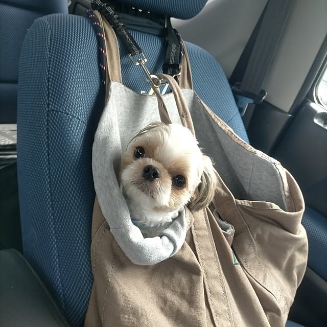 maryさんの部屋
