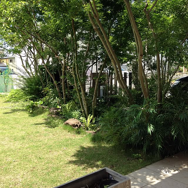 DGさんの実例写真