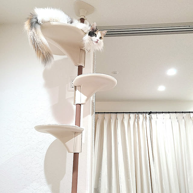 akiko6193さんの実例写真