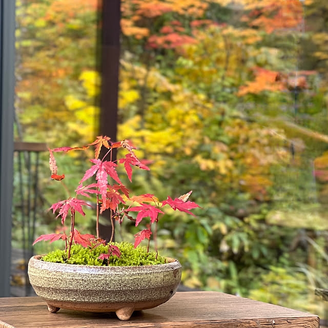 Kikko.さんの部屋