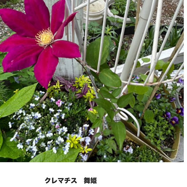 sukkorobiさんの部屋