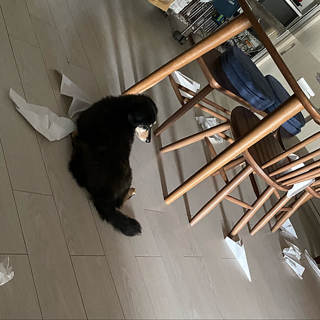 ohanaさんの実例写真