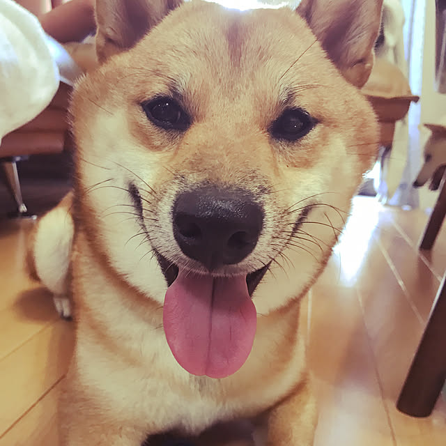 pillowsさんの実例写真