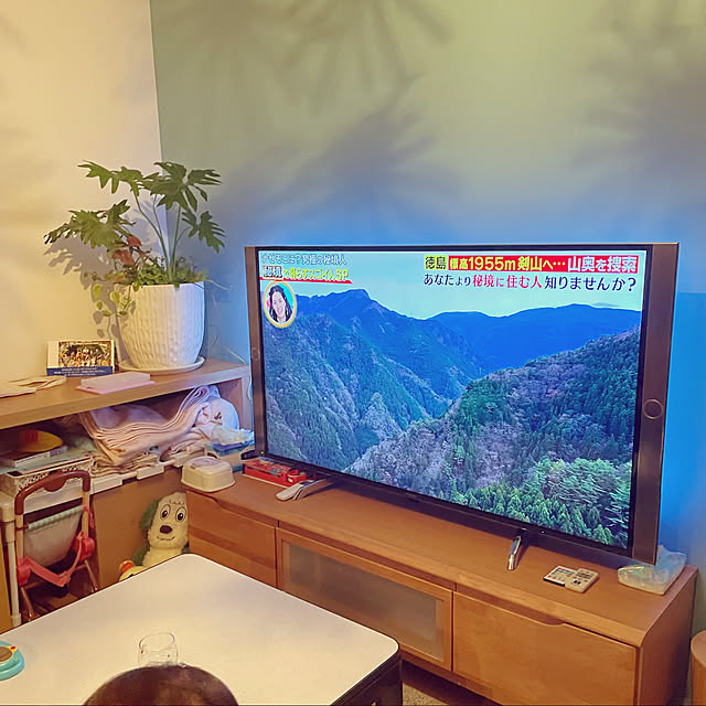 Zunさんの実例写真