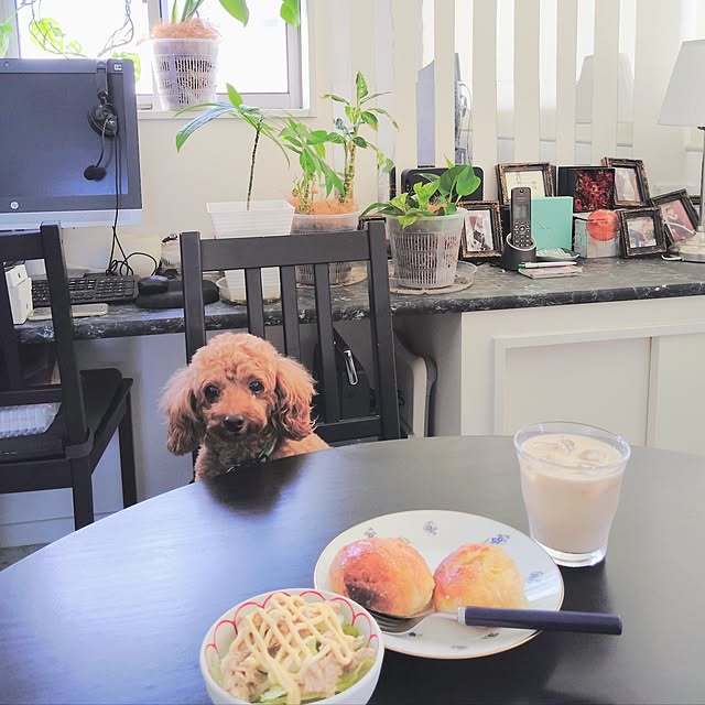 MOMOMAMAさんの実例写真