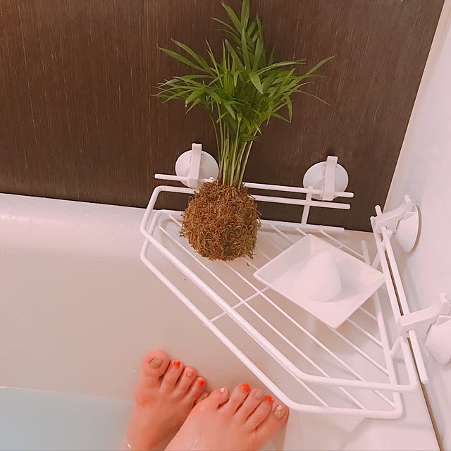 alice_milktea_oさんの実例写真