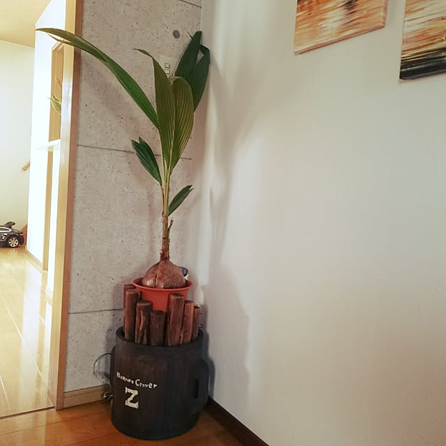 Yuukoさんの実例写真