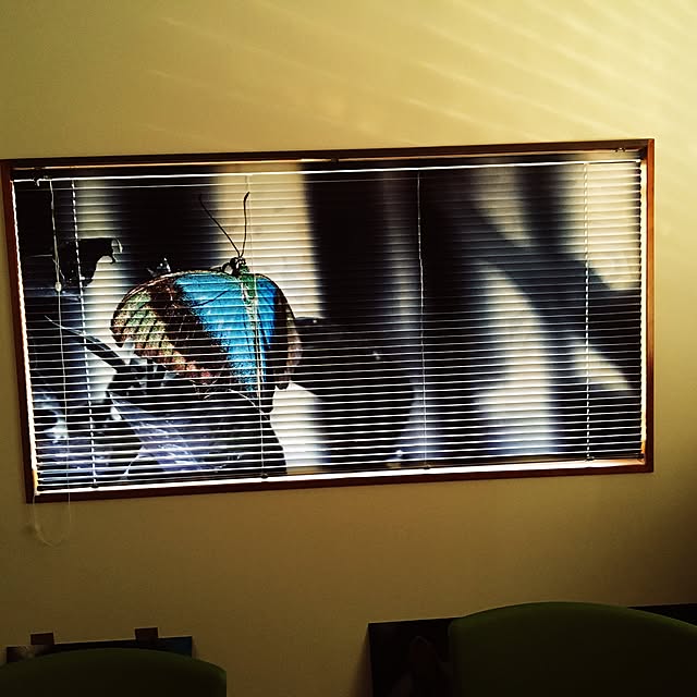 ADEAさんの実例写真