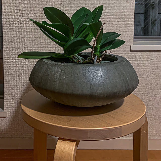観葉植物/北欧/artek/stool60/一生ものの家具...などのインテリア実例 - 2020-10-31 00:39:37