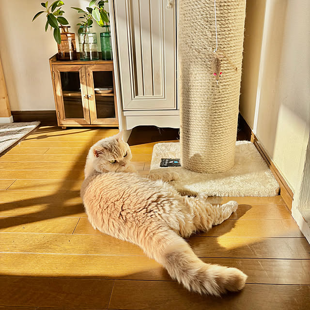 naokoさんの部屋