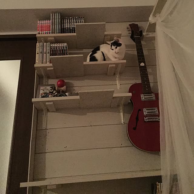 ktnさんの実例写真