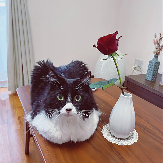 Yunさんの実例写真