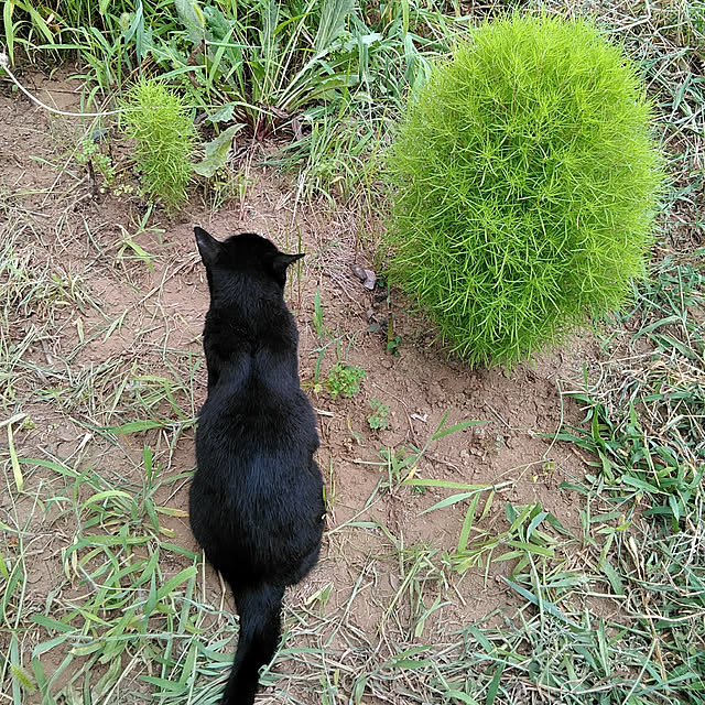 hiroさんの実例写真