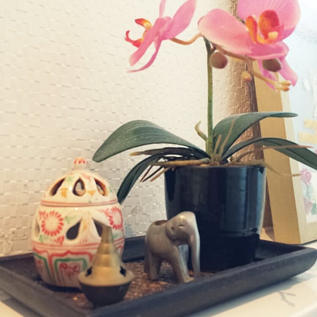 nasupenginさんの実例写真