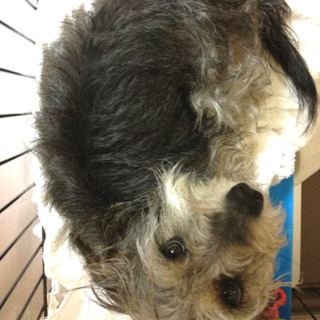 makiさんの実例写真