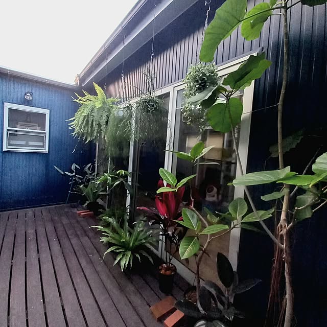 naoさんの実例写真