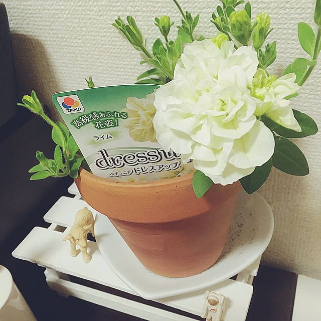 実例写真