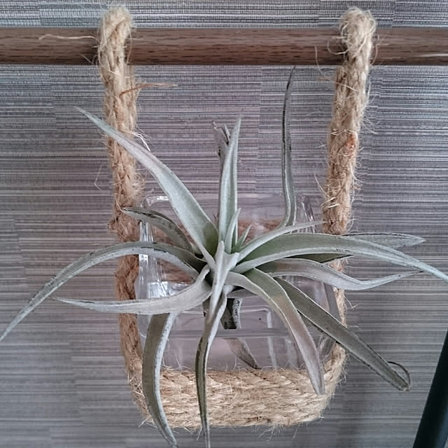 gurikoさんの実例写真