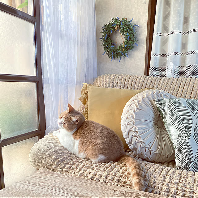 mintteaさんの実例写真