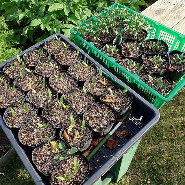 KOMARIN358さんの部屋