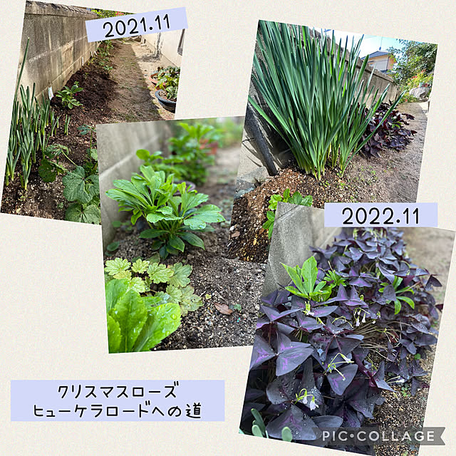 buchiさんの実例写真