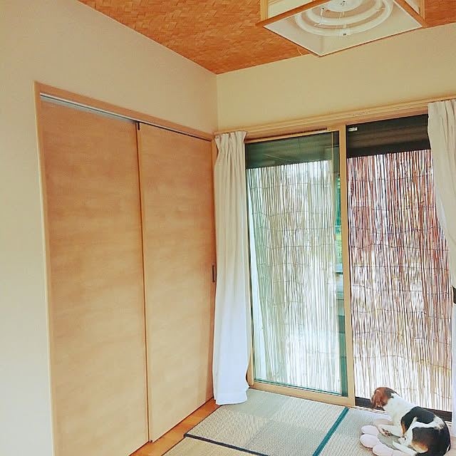 commoさんの実例写真