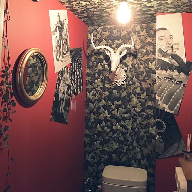 komachangさんの実例写真