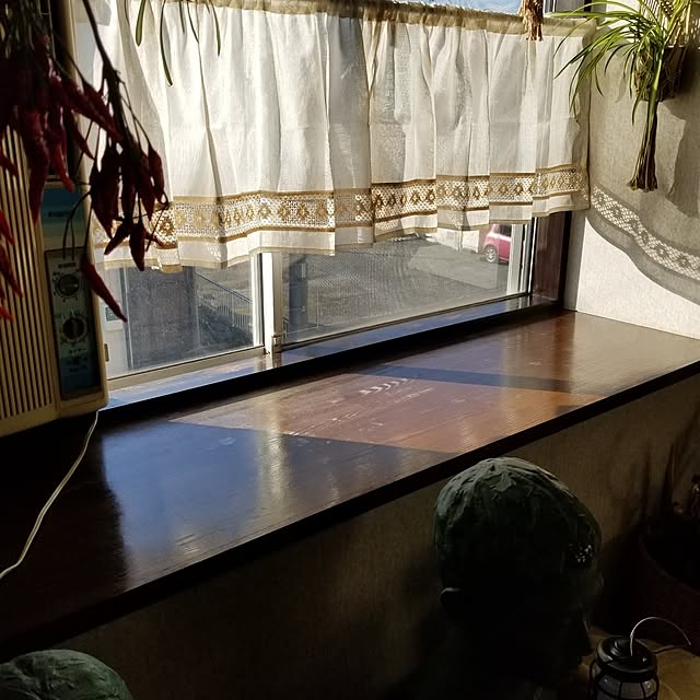 midoriさんの部屋