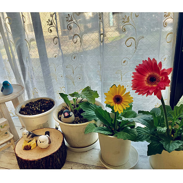 CoCo0617さんの部屋