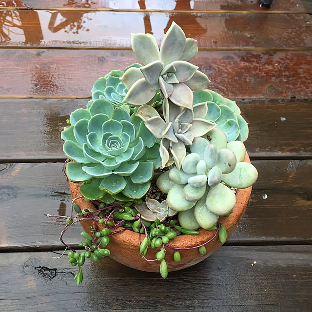 happygardenさんの実例写真