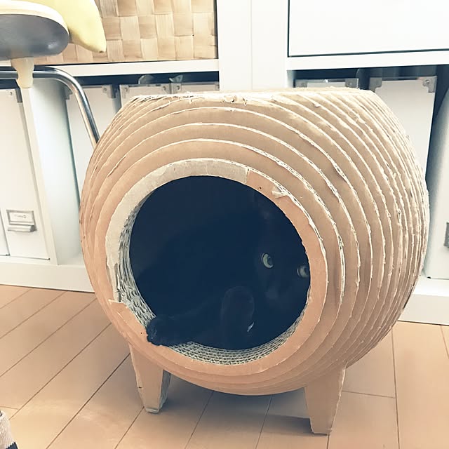 yuki0511さんの実例写真