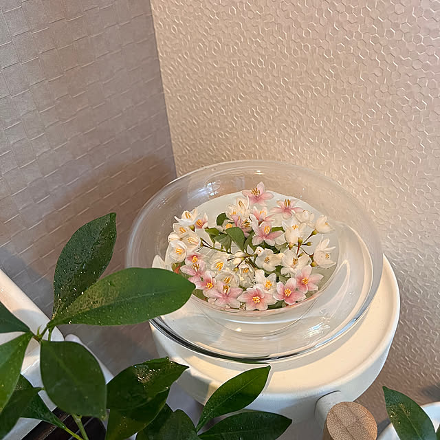 kojimasaさんの実例写真