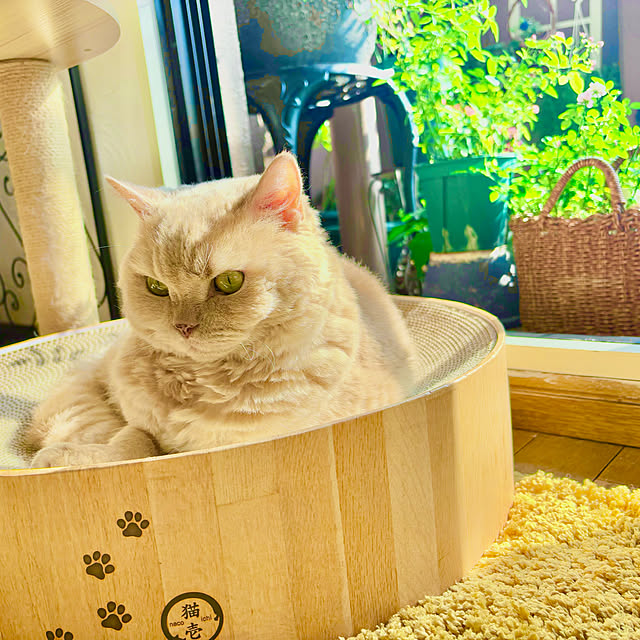 naokoさんの部屋