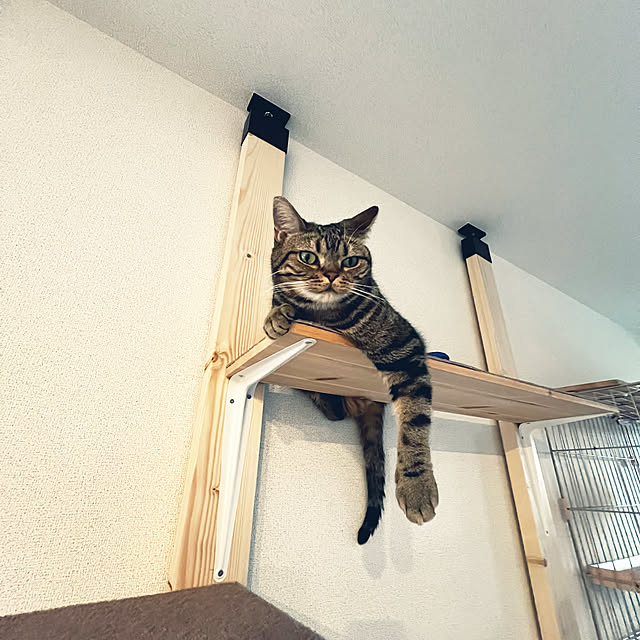karinさんの部屋