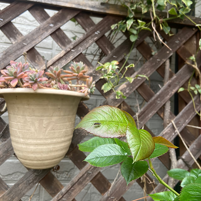 na-chanさんの部屋