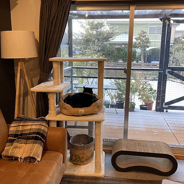 tawashiさんの実例写真