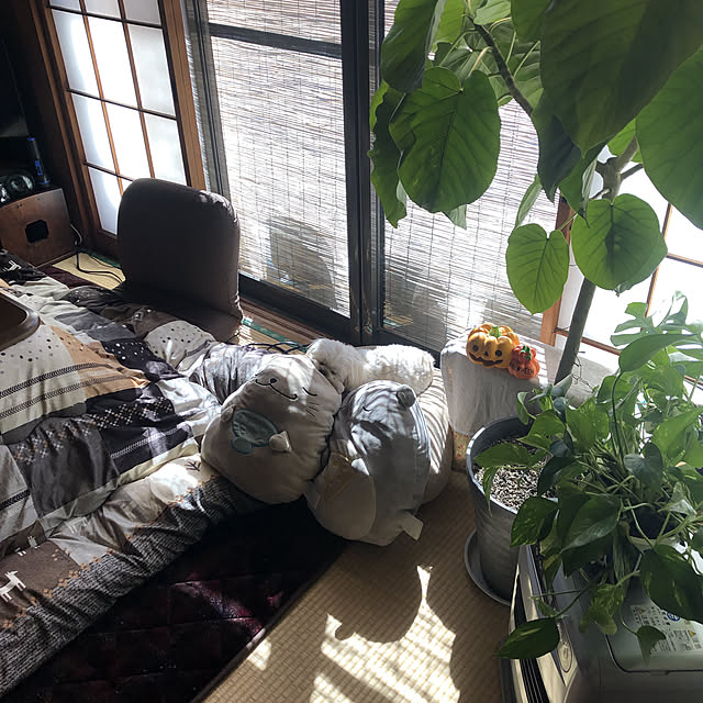 hahaさんの実例写真