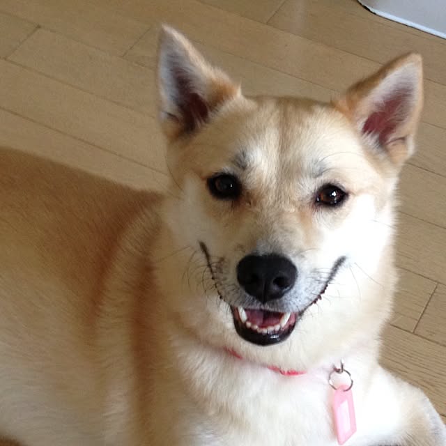 leonaさんの実例写真