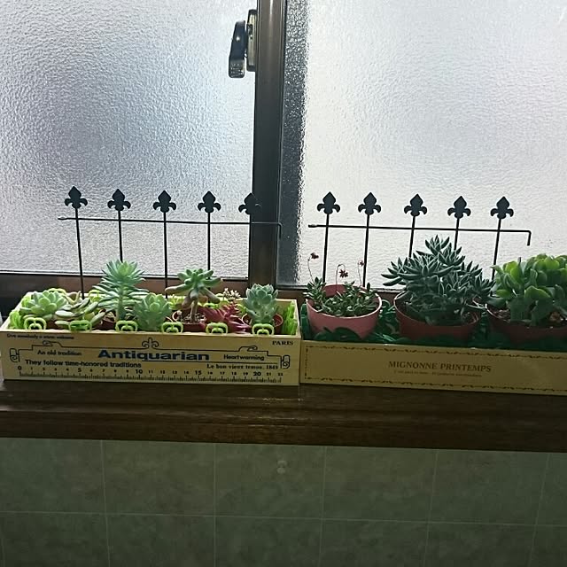 chamaさんの実例写真