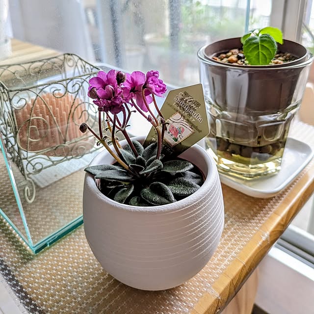 mi-saさんの実例写真