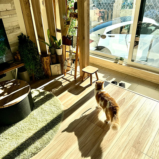yutaさんの実例写真