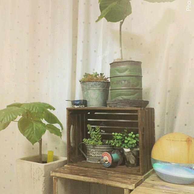 chiさんの実例写真