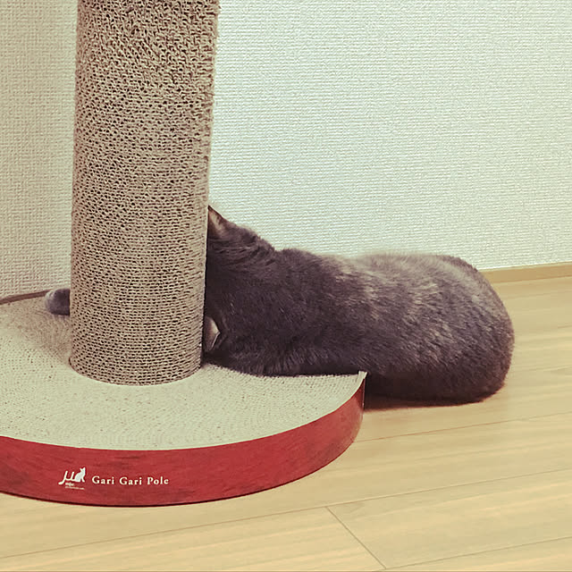 Omachanさんの実例写真